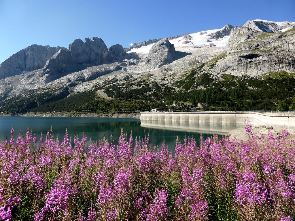 Rifugio Fedaia Ξενοδοχείο Malga Ciapela Εξωτερικό φωτογραφία