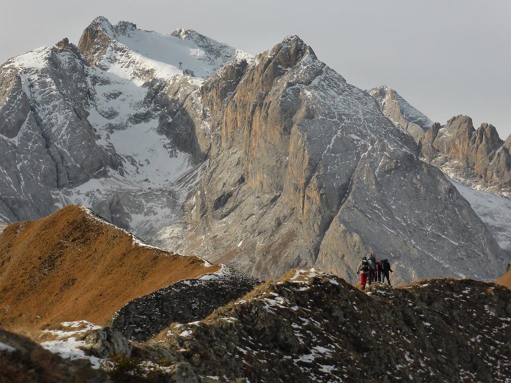 Rifugio Fedaia Ξενοδοχείο Malga Ciapela Εξωτερικό φωτογραφία
